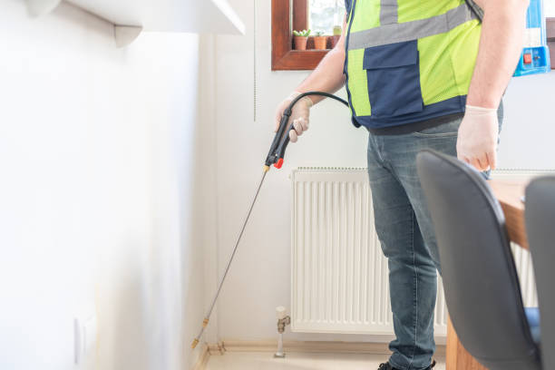 Trusted Orange Beach, AL Pest Control Experts