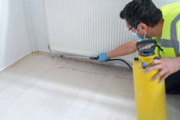 Best Affordable Pest Control Services  in Orange Beach, AL