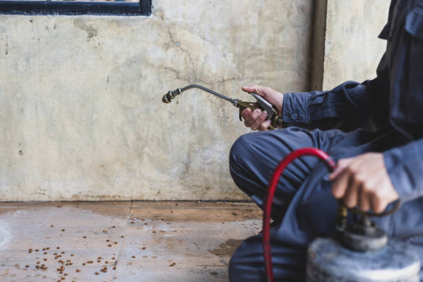 Best Best Pest Control Companies  in Orange Beach, AL